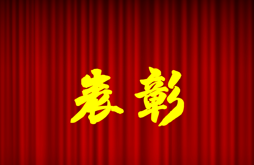 逐光前行、榮耀共鑒 | 公司2024年度表彰來啦！